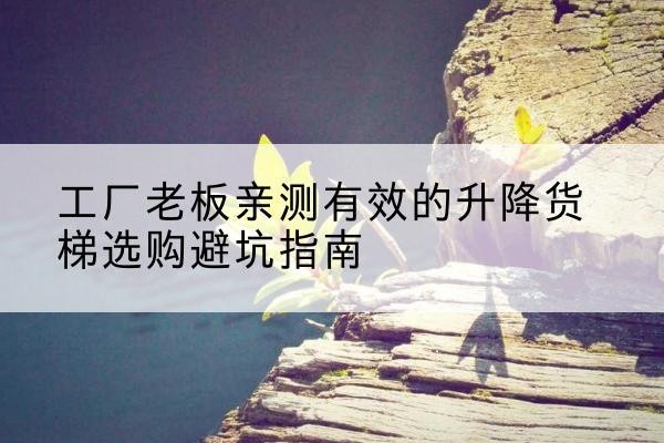 永仁升降货梯怎么选-工厂老板亲测有效的升降货梯选购避坑指南