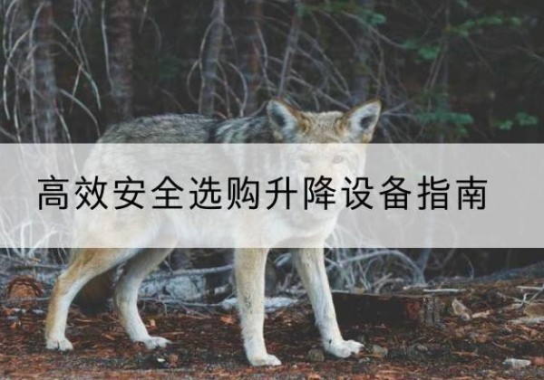 永仁升降货梯厂家推荐-*安全选购升降设备指南