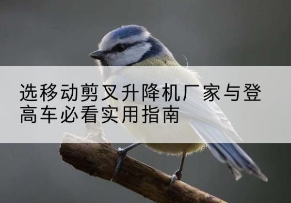 永仁电动升降机厂家-选移动剪叉升降机厂家与登高车必看实用指南