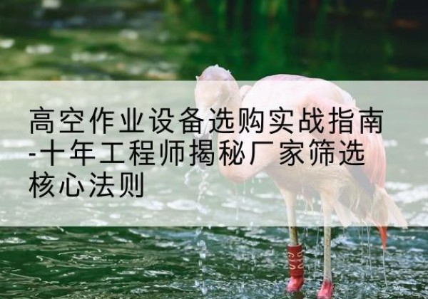 永仁剪叉式升降机厂家-高空作业设备选购实战指南-十年工程师揭秘厂家筛选核心法则