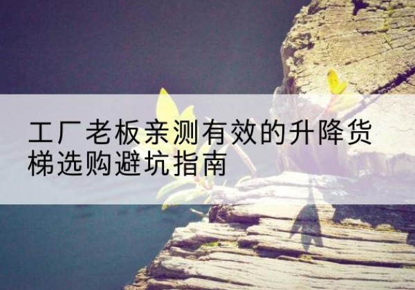 永仁升降货梯怎么选-工厂老板亲测有效的升降货梯选购避坑指南